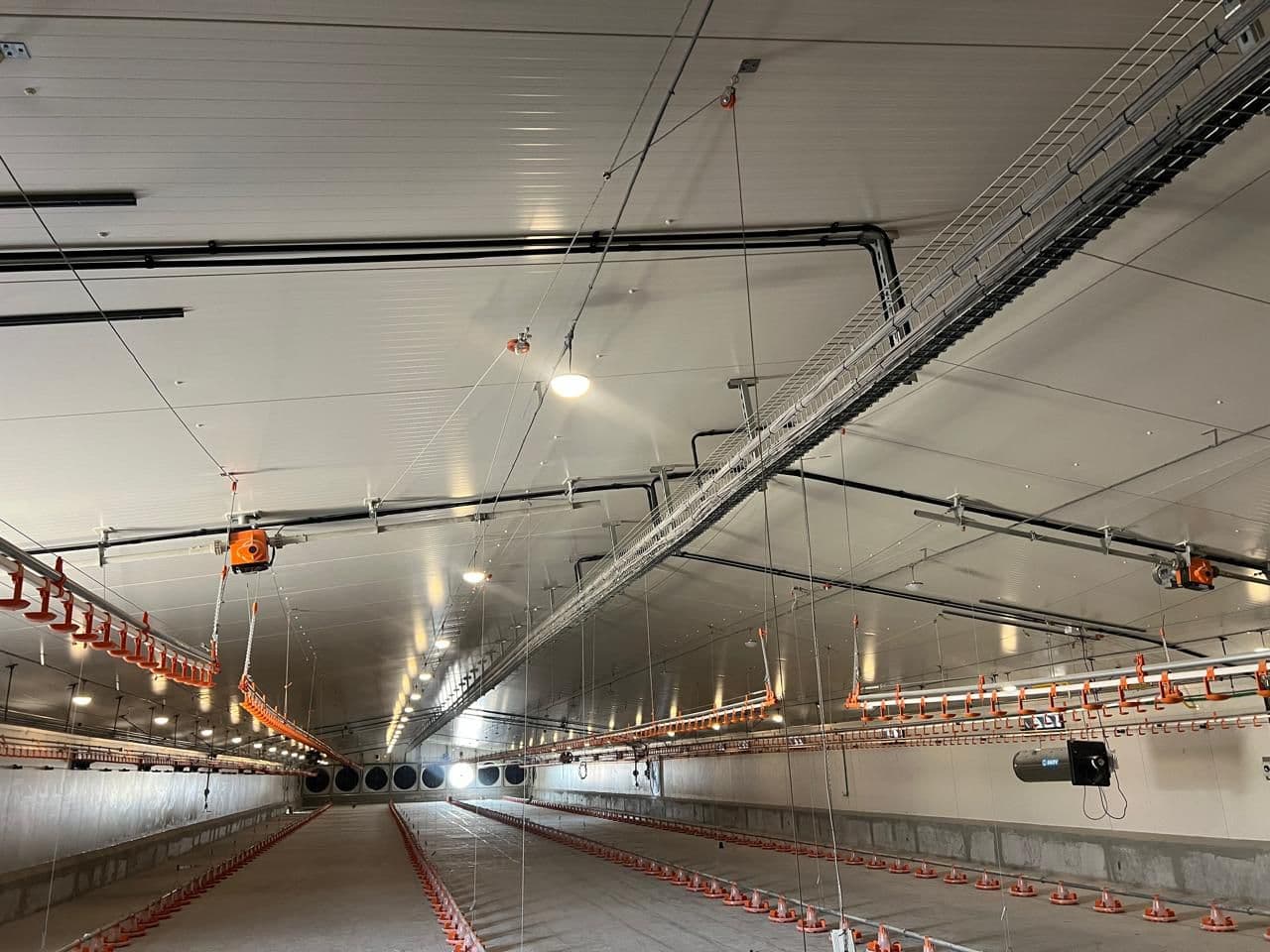 Al Ghurair poultry farm ( broiler ), Abudhabi