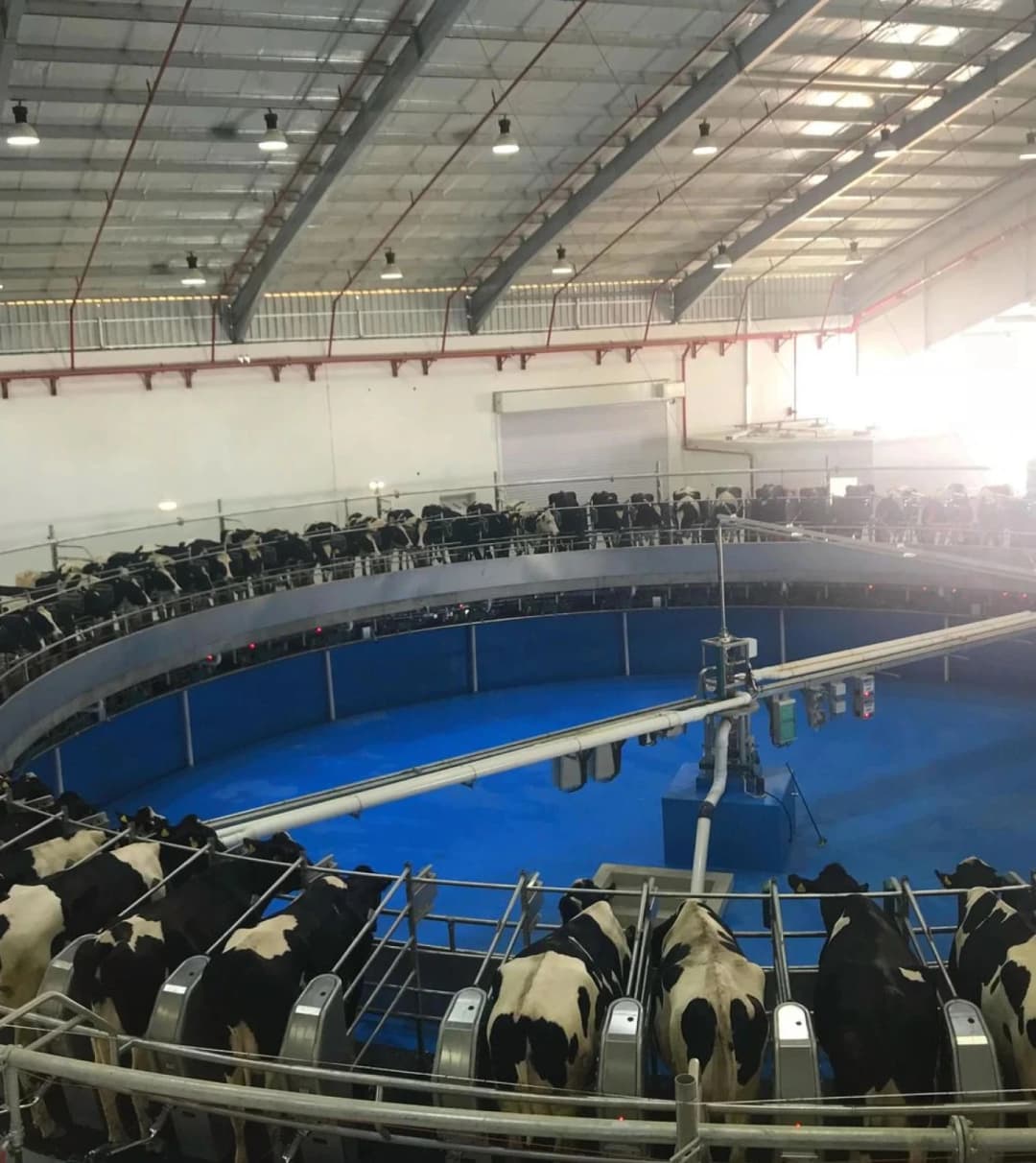 Poultry Farm